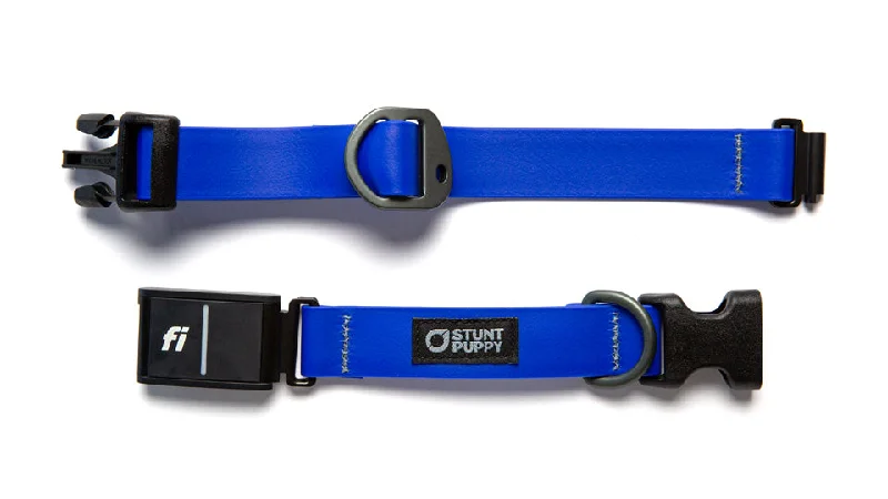  . **Pet collar with custom engraving**Fi-Ready Dry Collar™ (Fi Series 3)