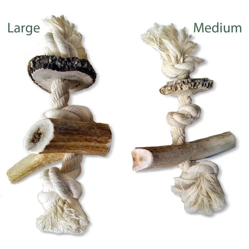 - Hamster toy recommendationsAntler Rope Chew for Dogs, Natural Antler on Cotton Rope