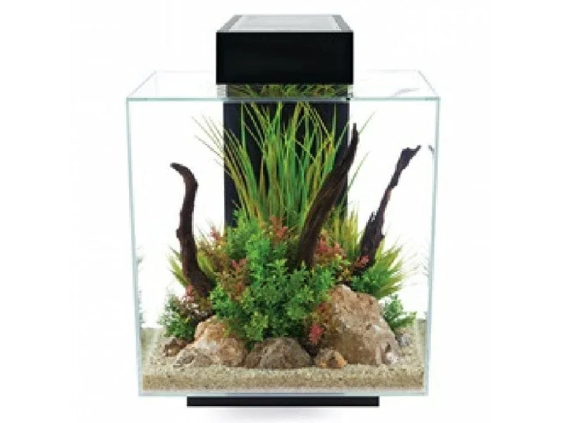 - Postoperative pet anti-licking Elizabethan collarFluval Edge 2.0 46L Aquarium Set - Gloss Black