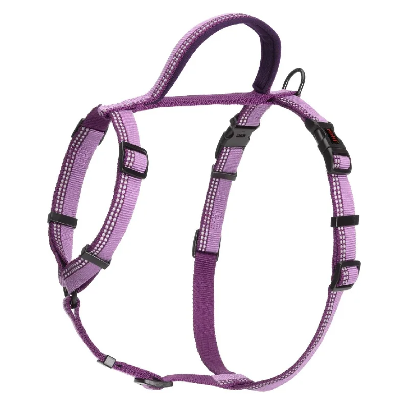 - Climbing pet constant temperature heating pad- Special food for puppiesHalti Purple Dog Walking Harness Small