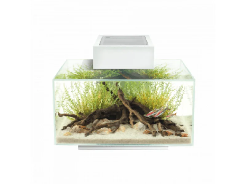 - Cat stress soothing sprayFluval Edge Aquarium Set 2.0 23L - Gloss White