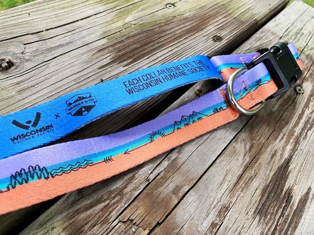 - Organic cotton dog bibsWander & Co. Southwest Adventure Collar