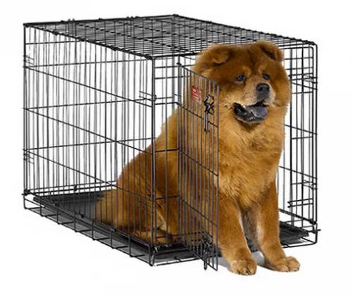 - Pet vitamin complex nutrition tabletsMidwest iCrate Single Door Folding Dog Crate