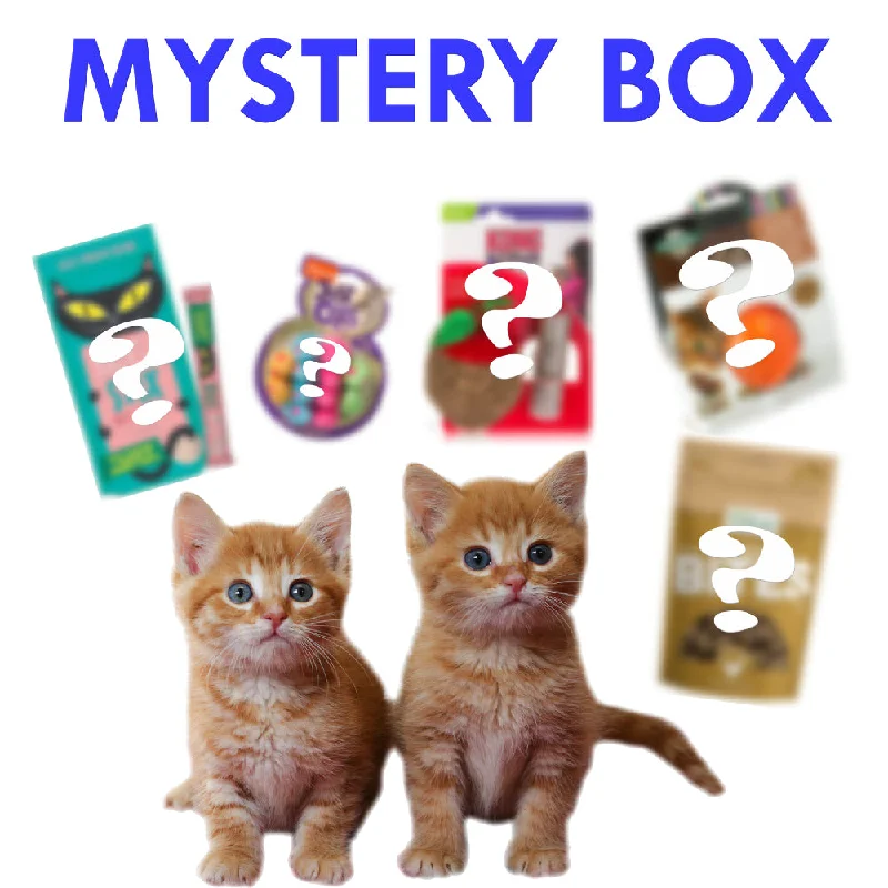 ---Mystery Box for Cats