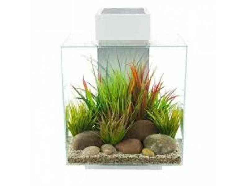 - Pregnant cat delivery room warming boxFluval Edge 2.0 46L Aquarium Set - Gloss White