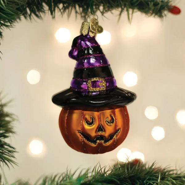 - Foldable and portable cat bagWitch Pumpkin Ornament