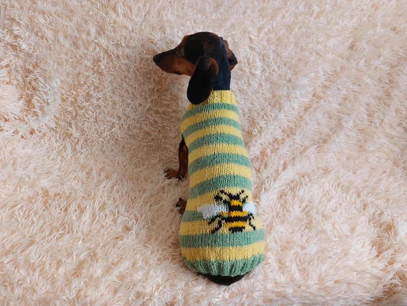 Pet Halloween clothesPet Clothes with Bee - Dog Sweater Striped Bee -Bee jumper halloween for pets- bee hoodie for dogs, bee clothes for dachshund