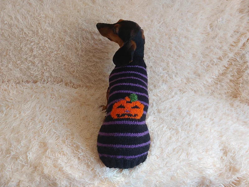 Winter warm clothes for catsDog costumes pumpkin sweater, dog costumes for halloween, pumpkin halloween costumes for pets, puppies, cat and dog sweater for halloween