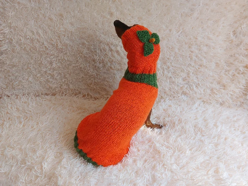 Classification by pet type:Pumpkin Halloween Clothes for Pets - Dog and Cat Pumpkin Sweater - Halloween Outfit Dachshund Pumpkin Costume