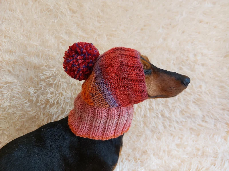 XX brand pet fashionDog hat with pom poms wool, warm hat for dachshund, wool hat for small dogs