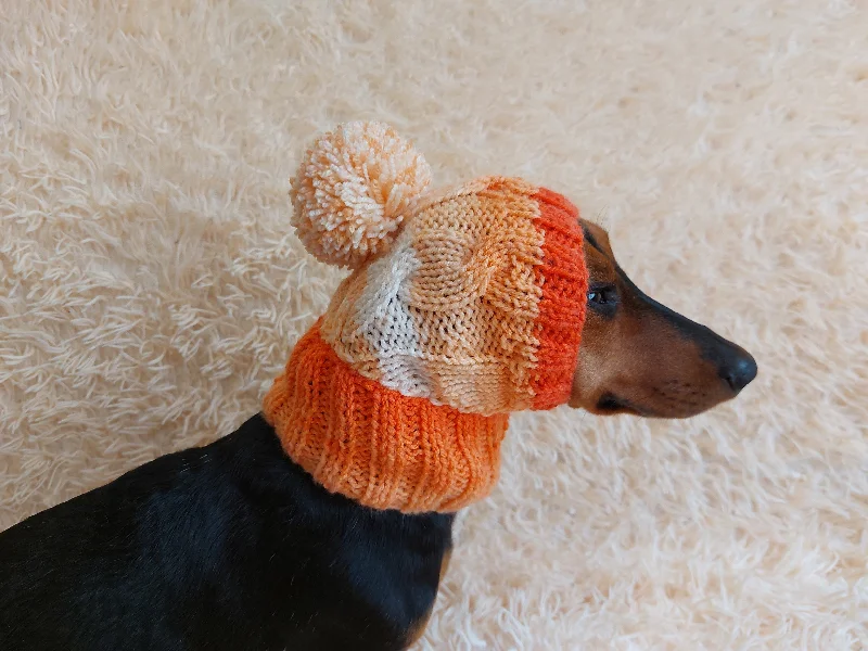 Combined with specific occasions:Dog hat with pom poms wool, warm hat for dachshund, wool hat for small dogs