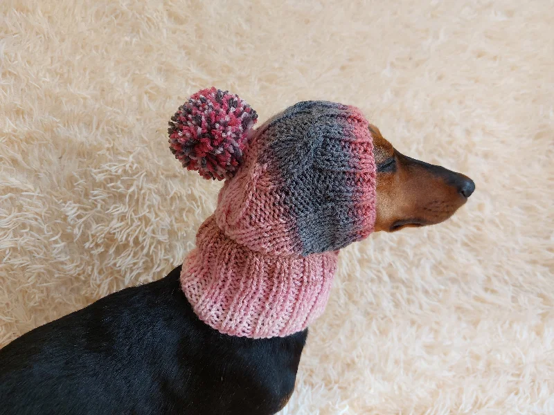 Pet cartoon pattern clothesDog hat with pom poms wool, warm hat for dachshund, wool hat for small dogs