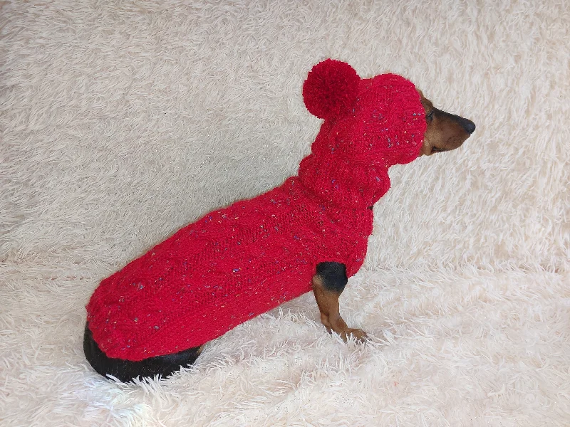 Dog clothesAlpaca wool costume with classic arana sweater and hat for dachshund or small dog, winter set sweater and hat for dogs