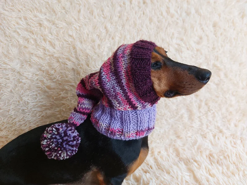 Pet anti-flea collarWinter Christmas clothes for dogs knitted hat with pompon, doxie clothes, doxie hat