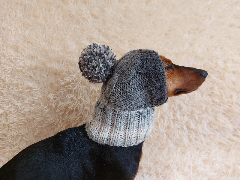 Pet retro style clothesDog hat with pom poms wool, warm hat for dachshund, wool hat for small dogs