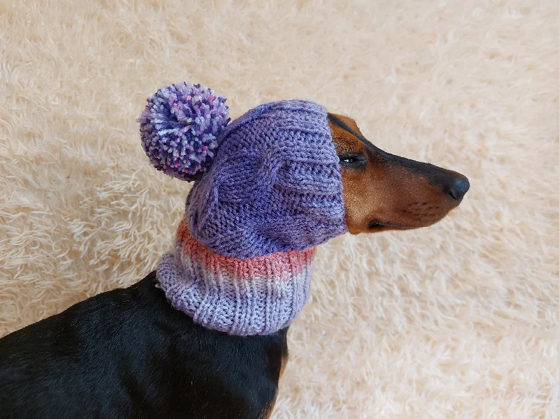 Pet custom clothesDog hat with pom poms wool, warm hat for dachshund, wool hat for small dogs