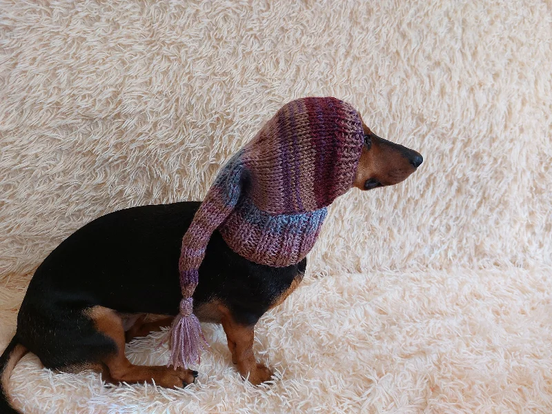 Pet birthday party clothesWinter hat for a dog with a pompom, christmas hat for a dachshund or small dog