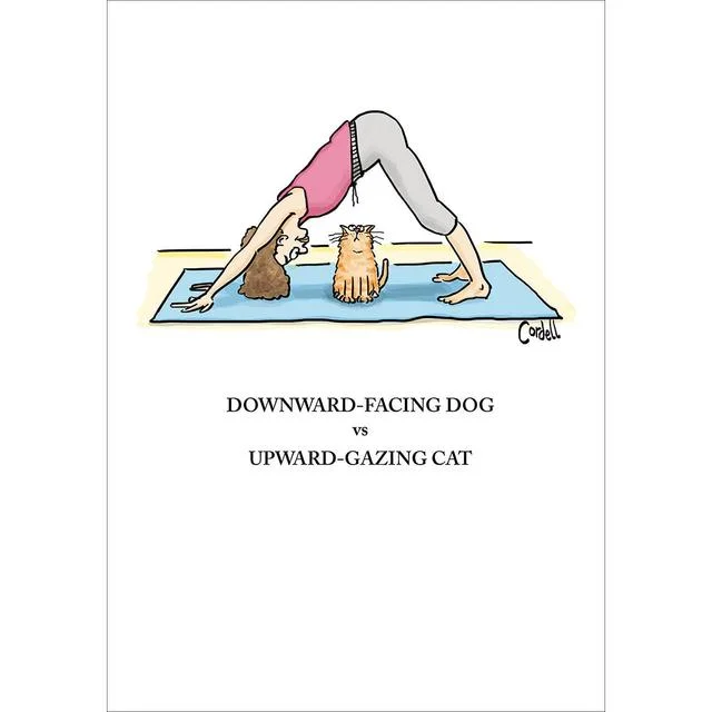    - Recommended online stores for cat food  Yoga Cat Birthday Card