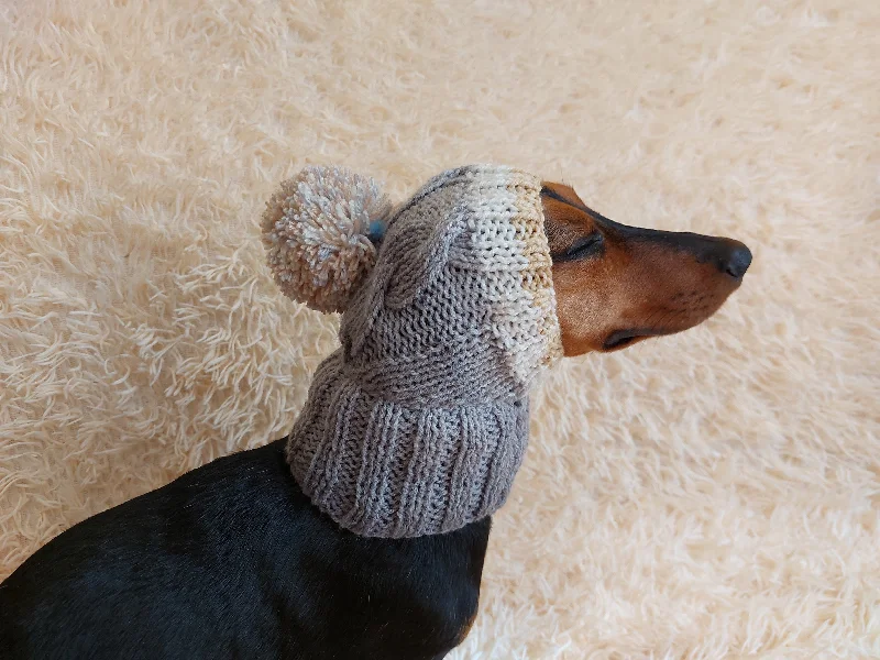 Pet fashion clothesDog hat with pom poms wool, warm hat for dachshund, wool hat for small dogs