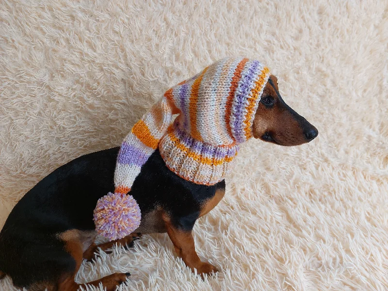 Pet holiday dress-up clothesKnitted hat for dachshund or small dog, warm knitted hat for dog, Dog Christmas Hat, Santa Dog Hat, Elf Dog Outfit, doxie clothes hat