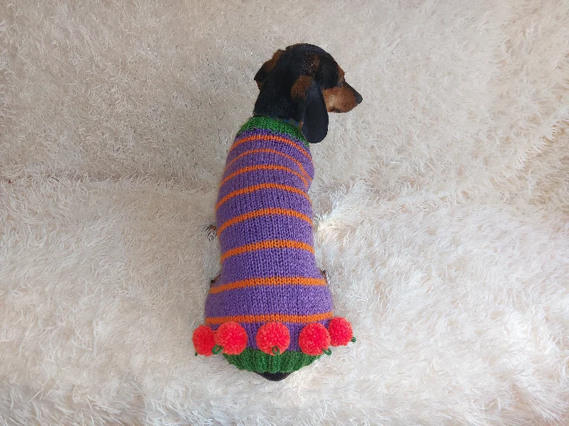 Dog clothesPumpkin Halloween Clothes for Pets - Dog and Cat Pumpkin Sweater - Halloween Outfit Dachshund Pumpkin Costume