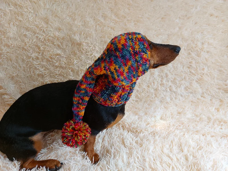 Pet rehabilitation recovery clothes (such as post-operative clothes)Rainbow Christmas Dog Hat