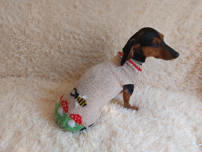 Pet winter warm clothesFly Agaric and Bee Pet Clothes-mushroom Knit dog sweater