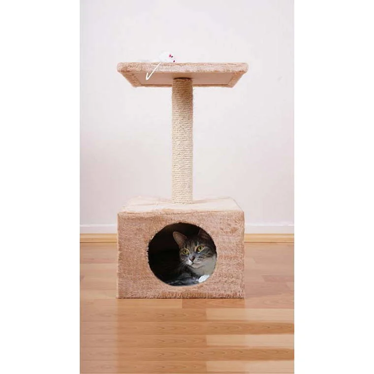    - Hypoallergenic cat food  Cat Scratcher 2 Tier, 4 Asstd Colours