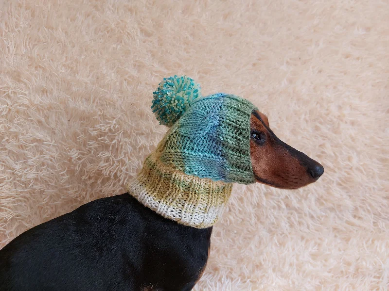 Pet lace clothesDog hat with pom poms wool, warm hat for dachshund, wool hat for small dogs