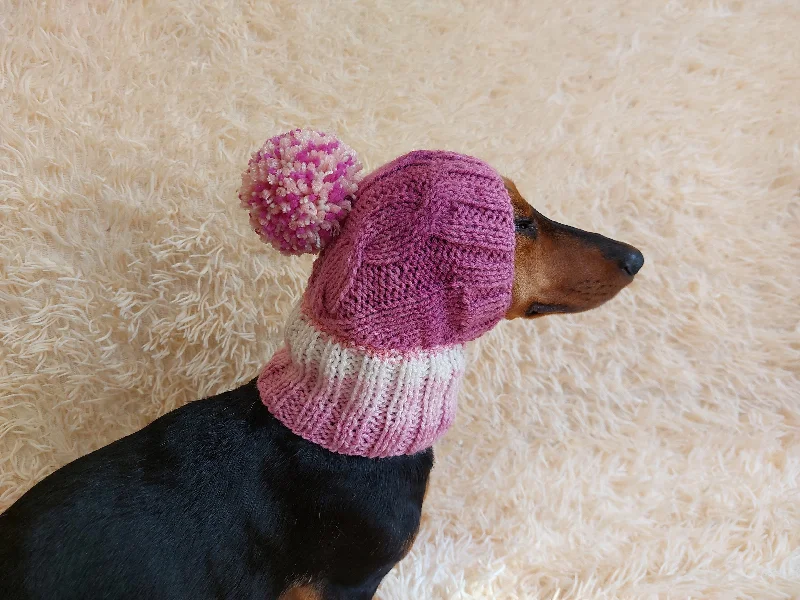 Pet night clothes with LED lightsDog hat with pom poms wool, warm hat for dachshund, wool hat for small dogs